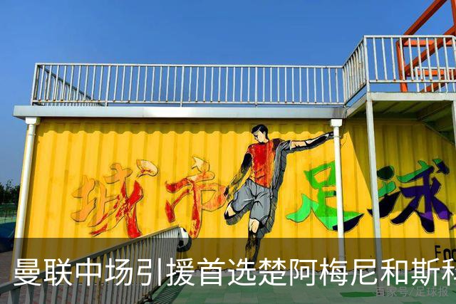 曼联中场引援首选楚阿梅尼和斯科特 与热刺抢荷兰边锋